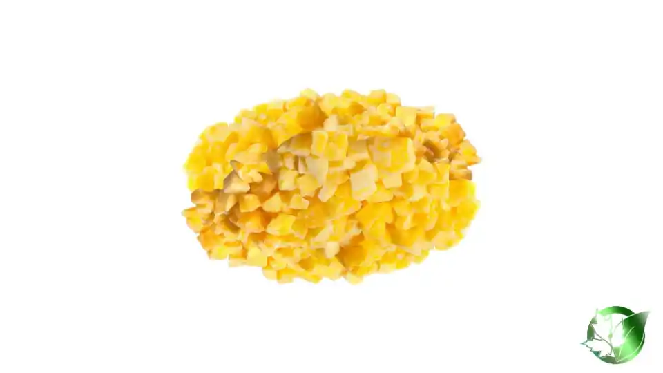 Bulk Frozen Mango | Suppliers | Wholesale | ParsaFood Global